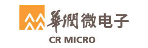 电子峰会2024：哪些半导体厂商来了？(图7)