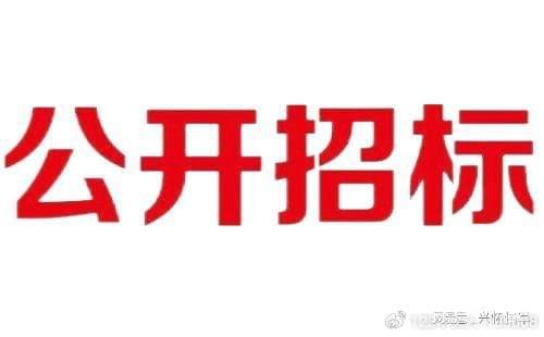 2024年度：宝鸡宝气润晟分布式光伏发电项目12MW光伏组件设备采购(图2)