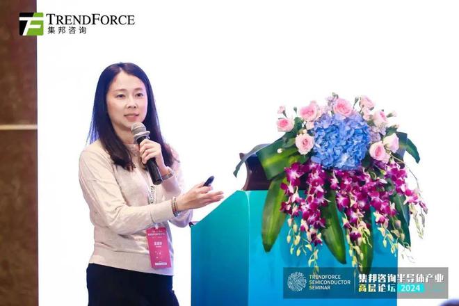 大咖齐聚TSS2024集邦咨询半导体产业高层论坛干货分享(图5)