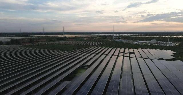 减污降碳｜上海第一批减污降碳案例②：崇明港西渔光互补光伏发电项目