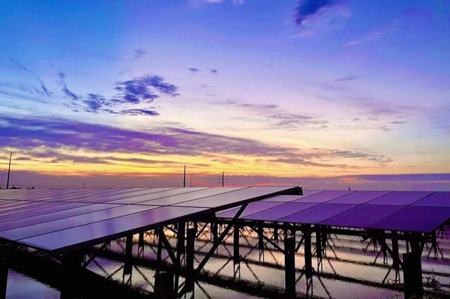 减污降碳｜上海第一批减污降碳案例②：崇明港西渔光互补光伏发电项目(图2)