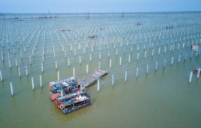 瞰项目丨华能滨州新能源85万千瓦光伏发电项目建设加速推进