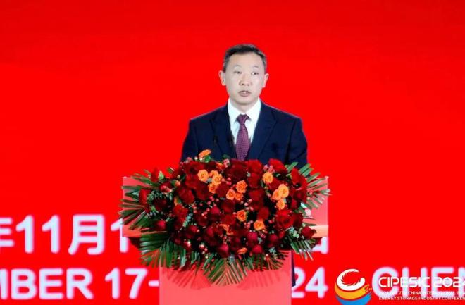 2024光伏储能产业大会：携手迈进光储新时代共筑双碳新梦想(图8)