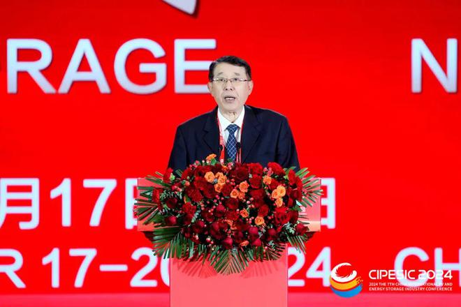 2024光伏储能产业大会：携手迈进光储新时代共筑双碳新梦想(图15)