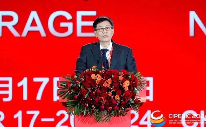 2024光伏储能产业大会：携手迈进光储新时代共筑双碳新梦想(图17)