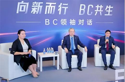 前瞻2025：六大趋势引领光伏产业触底回升(图3)