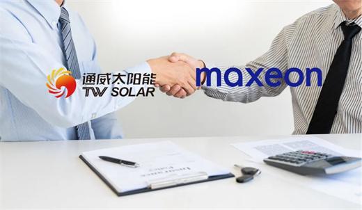前瞻2025：六大趋势引领光伏产业触底回升(图6)