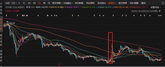 亚玛顿2024年业绩大幅转亏垂直一体化进程再遇阻
