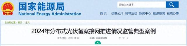 国家能源局发布《2024年分布式光伏备案接网推进情况监管典型案例(图1)