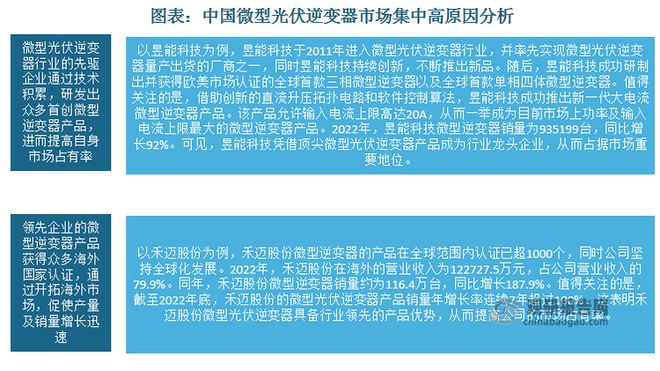中国微型光伏逆变器行业发展深度与投资前景报告（2024-2031年）(图9)