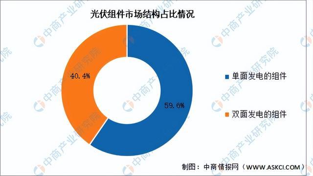 2024年中国光伏组件行业市场前景预测研究报告（简版）(图4)