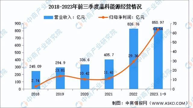 2024年中国光伏组件行业市场前景预测研究报告（简版）(图8)