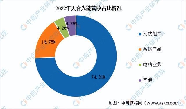 2024年中国光伏组件行业市场前景预测研究报告（简版）(图11)