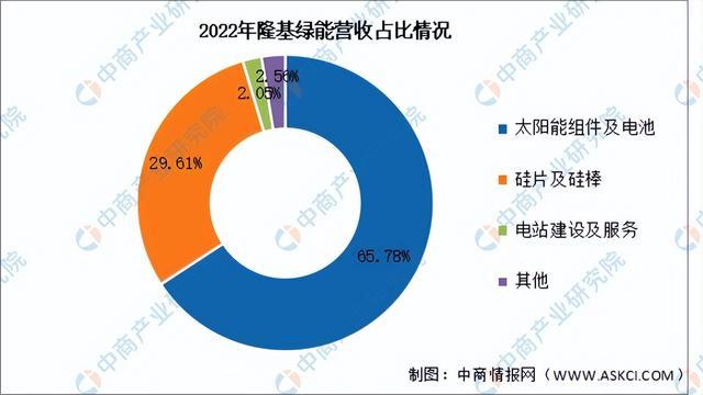 2024年中国光伏组件行业市场前景预测研究报告（简版）(图13)