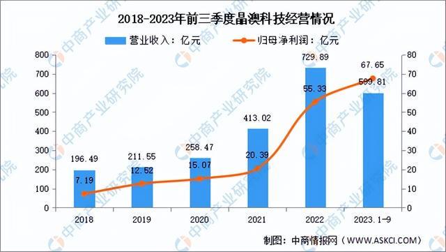 2024年中国光伏组件行业市场前景预测研究报告（简版）(图14)
