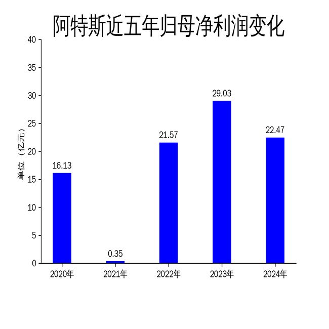 阿特斯2024年财报：营收净利双降储能业务成新引擎(图2)