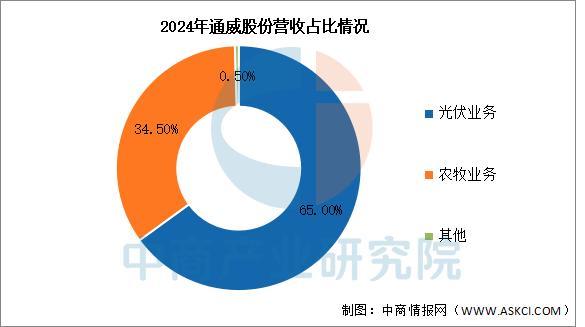 2025年中国光伏行业市场前景预测研究报告(图14)