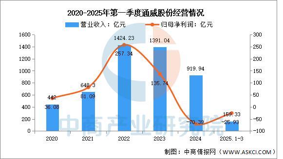 2025年中国光伏行业市场前景预测研究报告(图13)