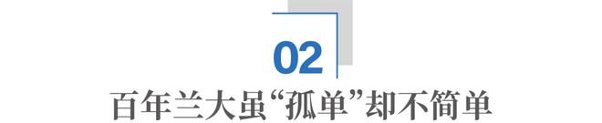 “最委屈的985”将中国光伏送上全球第一(图7)