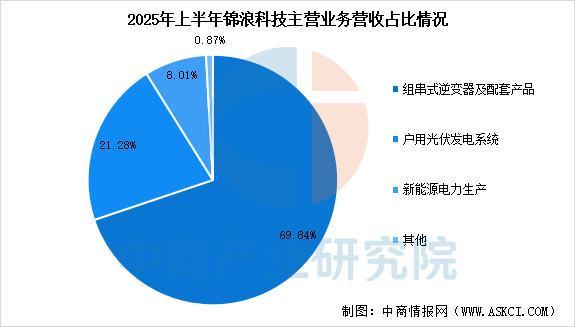 2025年中国光伏逆变器行业市场前景预测研究报告(图12)