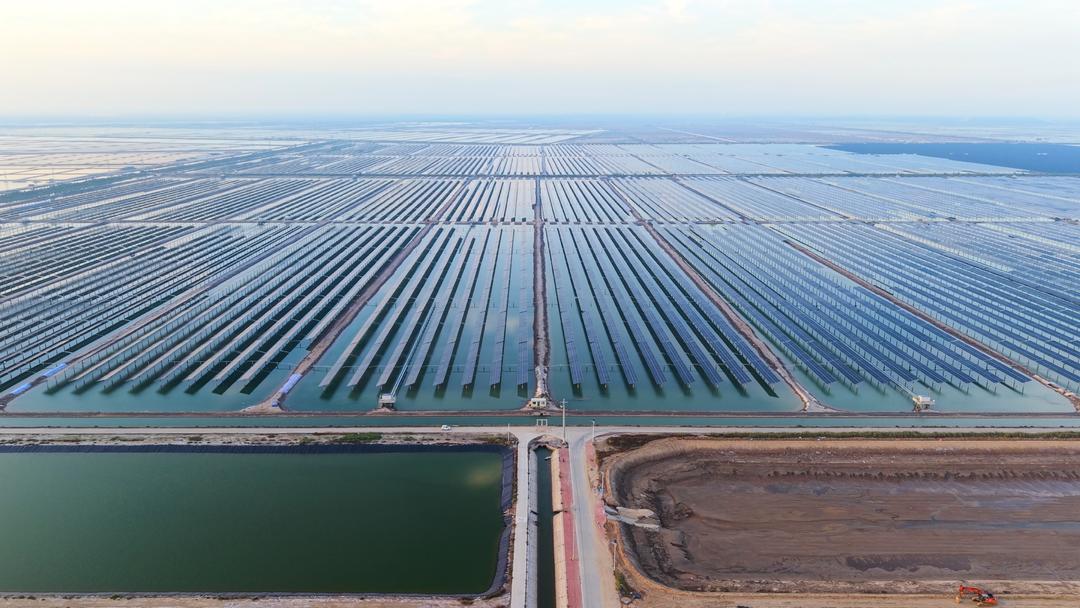 蹲点调查｜绿电竞“速”：山东新能源行业正经历关键转型(图2)