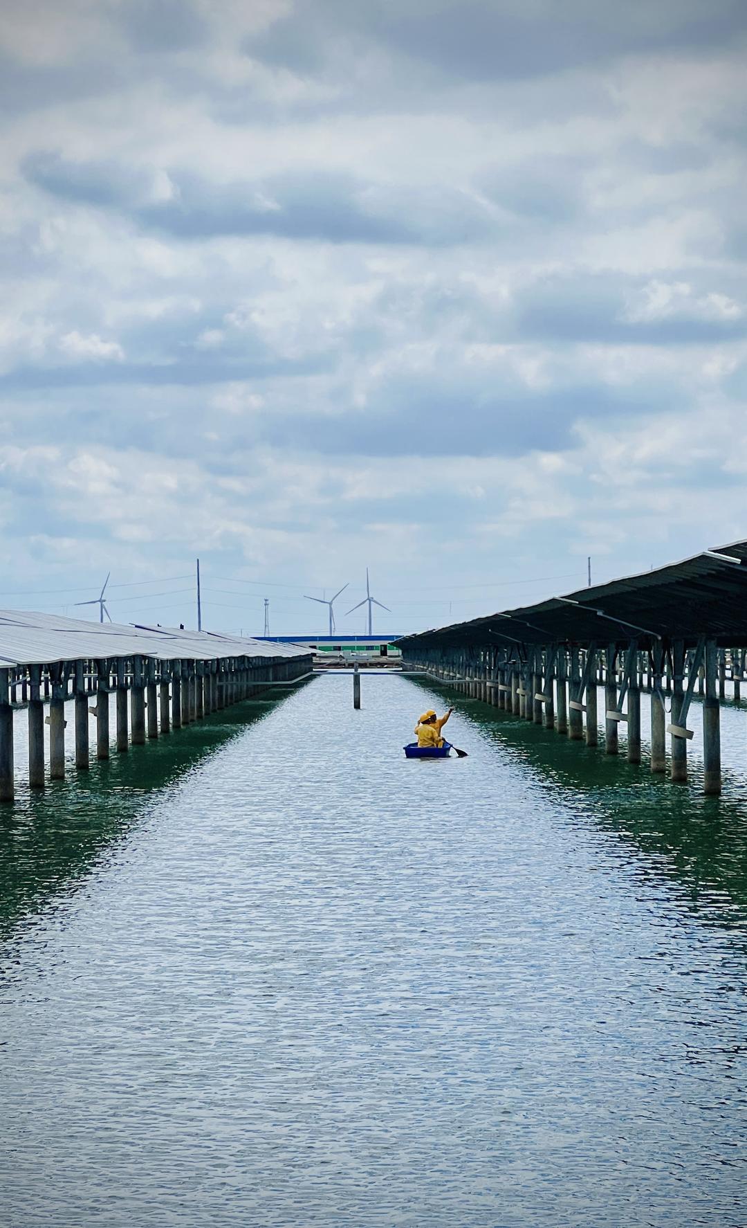 蹲点调查｜绿电竞“速”：山东新能源行业正经历关键转型(图9)