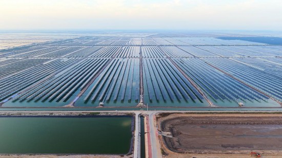 绿电竞“速”：山东新能源行业正经历关键转型(图2)