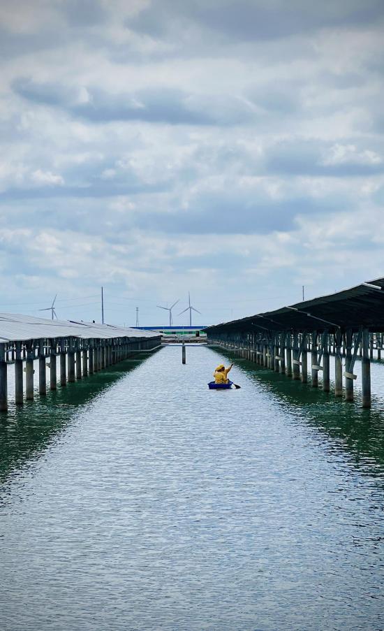 绿电竞“速”：山东新能源行业正经历关键转型(图9)