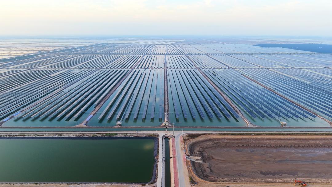 山东：绿电竞“速”(图1)