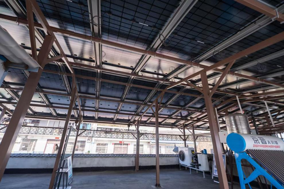 2026全国两会之声丨从建议到实践：隆基以“光伏+”探索乡村振兴新路径(图3)