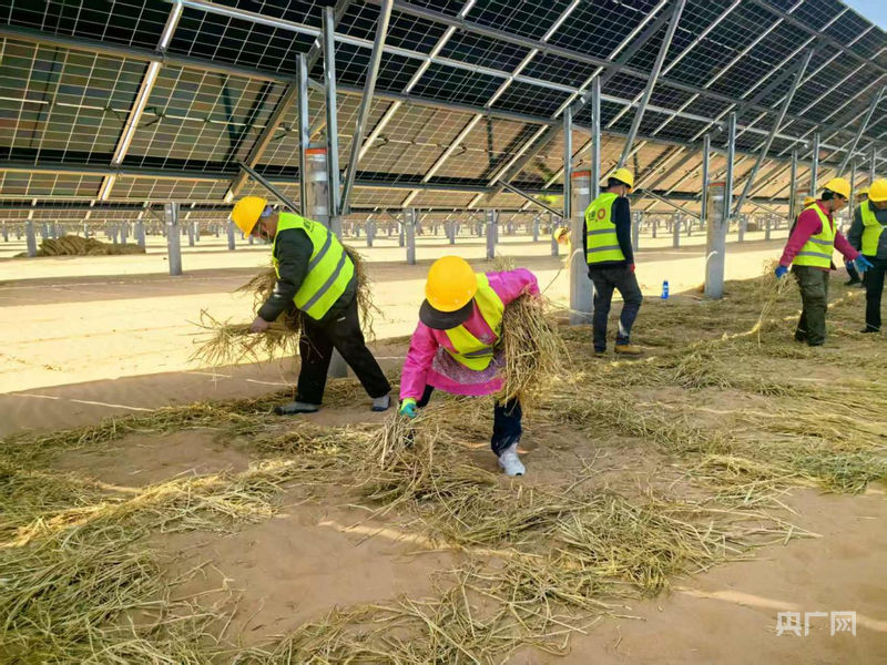 高质量发展看中国｜光伏固沙海让流沙锁定在草方格(图2)